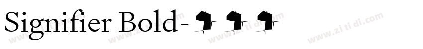Signifier Bold字体转换 Signifier Bold字体转换